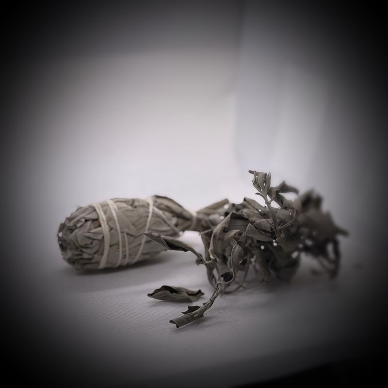 Sage Sage