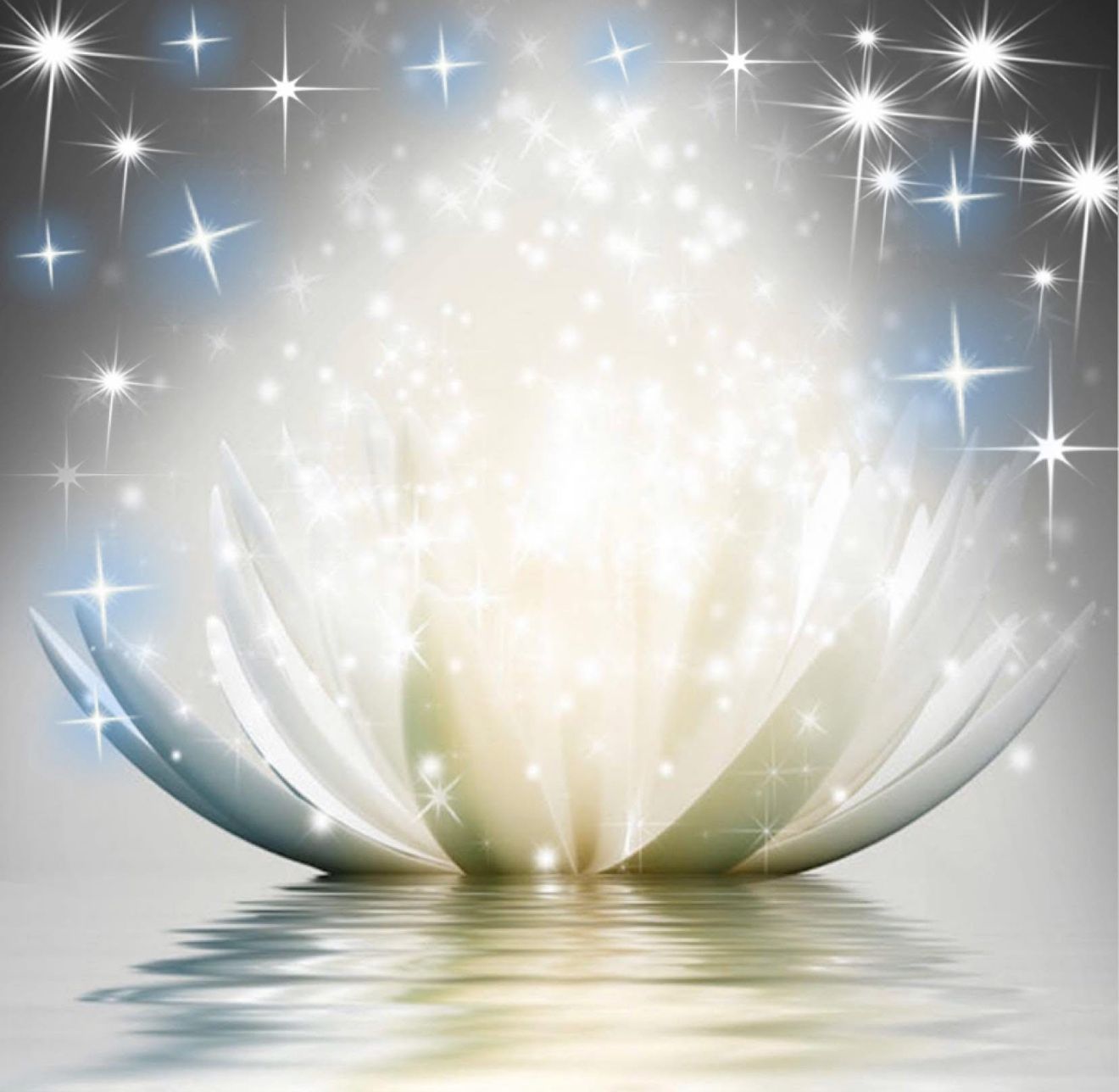 Friday 12 Dec Live - Vikki C Friday 12 Dec Live - Vikki C