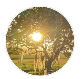 Friday 12 Dec Live -Tracey Leigh