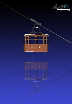 AURON NICE