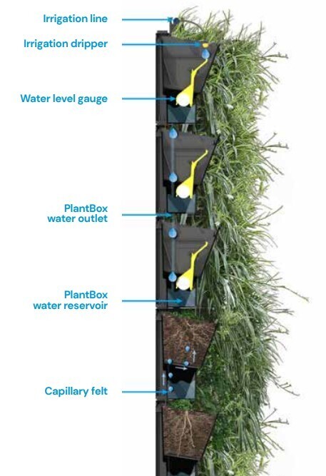 GREEN WALL - ​PLANTBOX WITH IRRIGATION - GROWING REVOLUTION