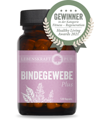 Bindegewebe Plus