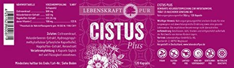 Cistus Plus