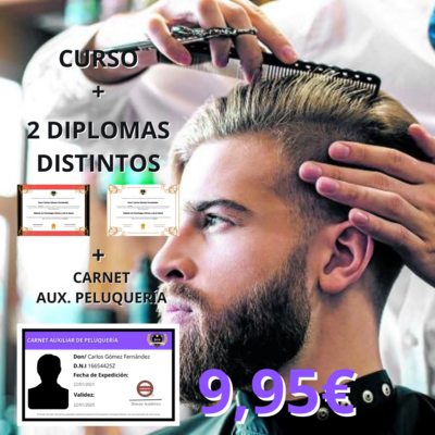 Curso Auxiliar de Peluquería (650h)