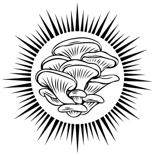 Грибні Джерки