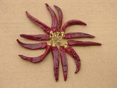 NuMex R. Vince Hernandez