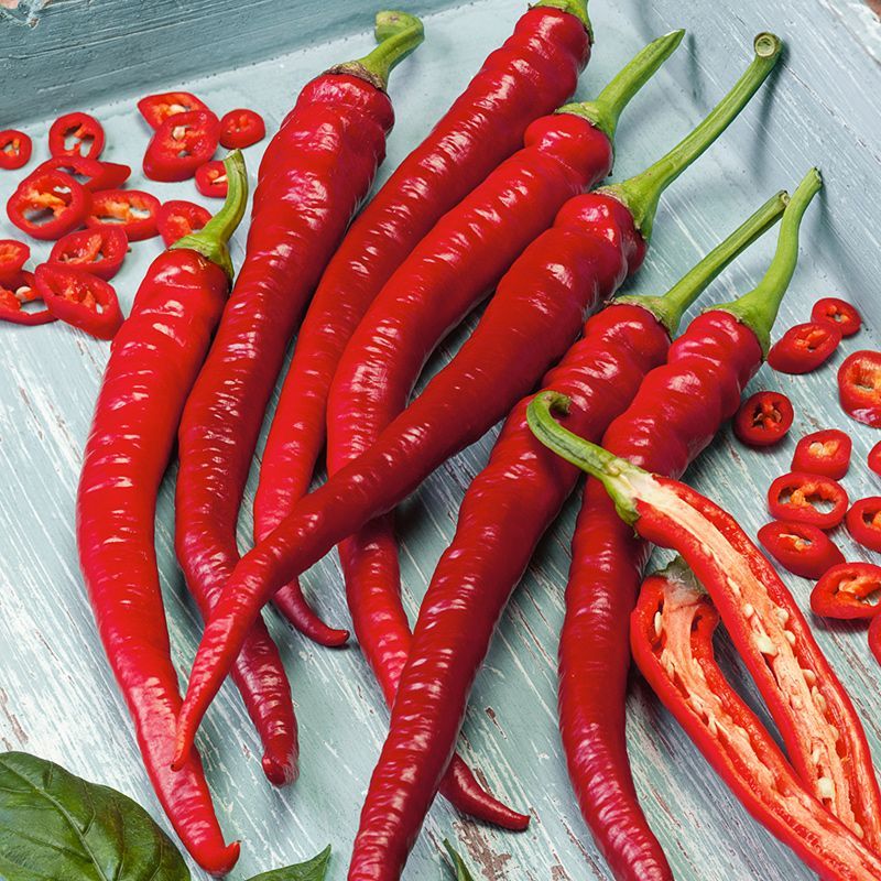 Long Slim Cayenne