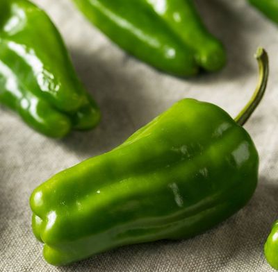 Cascadura Pepper
