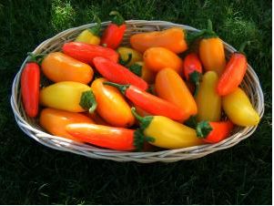 NuMex Jalapeño Spice Mix