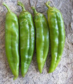 NuMex Heritage Big Jim NuMex Heritage Big Jim