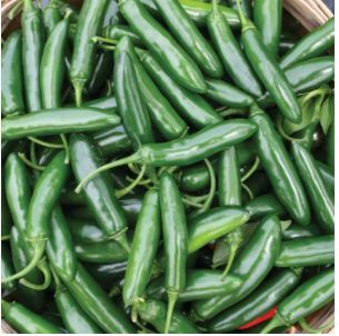 NuMex CaJohn's Jumbo Serrano