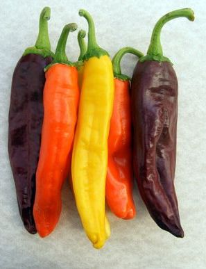NuMex Sunrise, Sunset, Eclipse NuMex Sunrise, Sunset, Eclipse