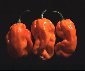 NuMex Suave Orange