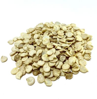 Bulk Chile Seeds