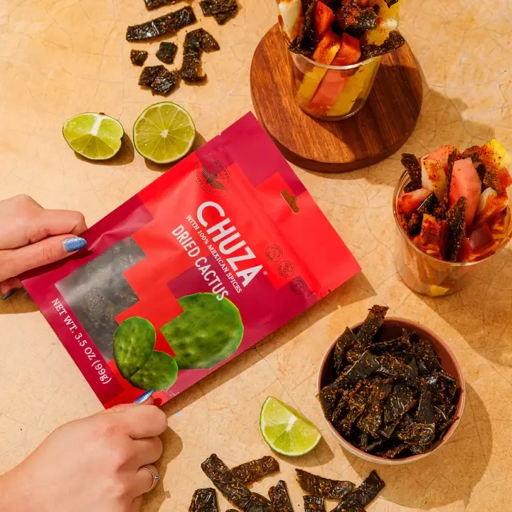 CHUZA Dried Cactus CHUZA Dried Cactus