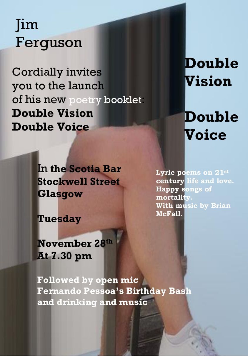 Double Vision : Double Voice by Jim Ferguson