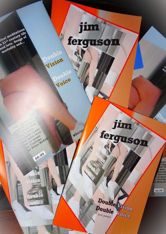 Double Vision : Double Voice by Jim Ferguson