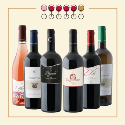 6 Vini: 4 Primitivo, 1 Chardonnay, 1 Pinot Rosato.