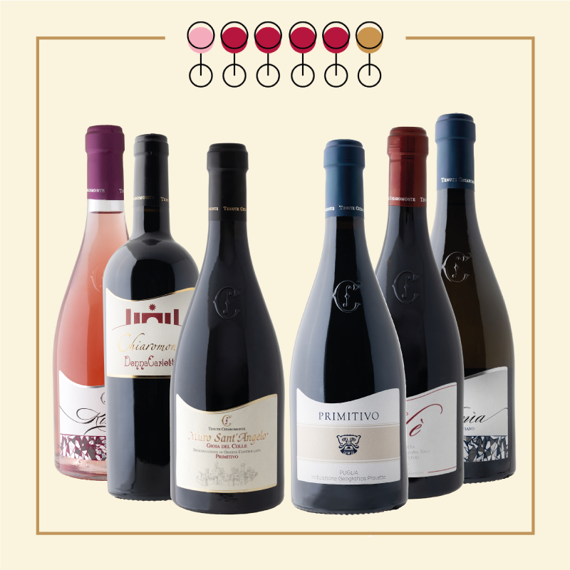 6 Vini: 4 Primitivo, 1 Fiano, 1 Pinot Rosato.