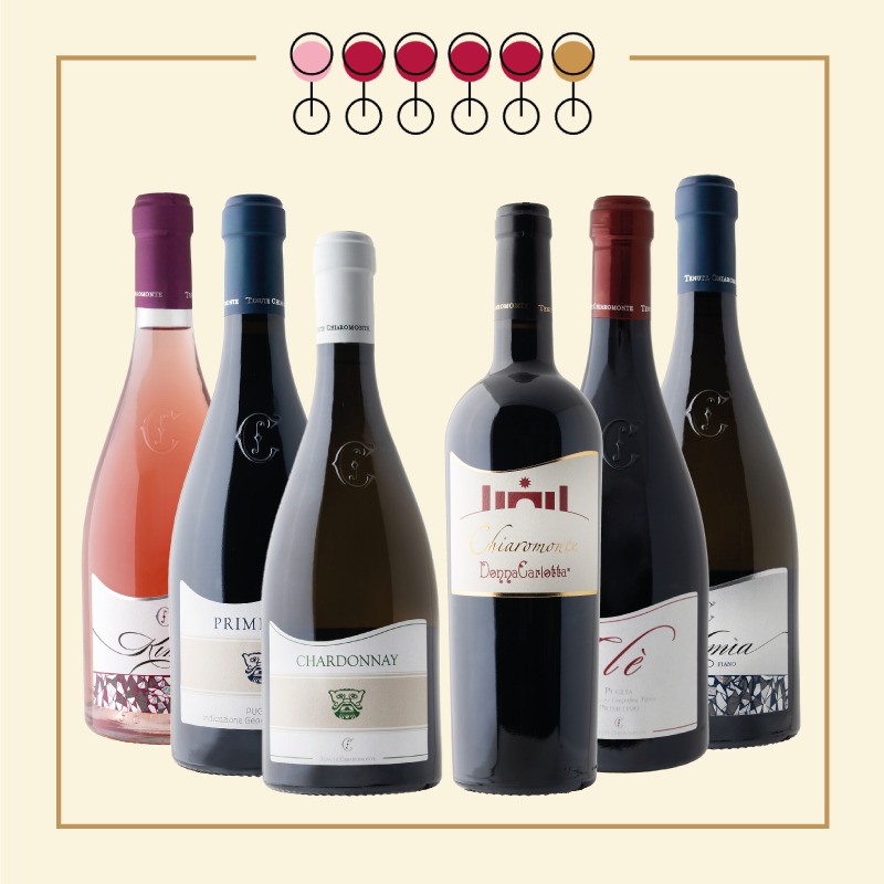 6 Vini: 3 Primitivo, 1 Chardonnay, 1 Fiano, 1 Pinot Rosato.