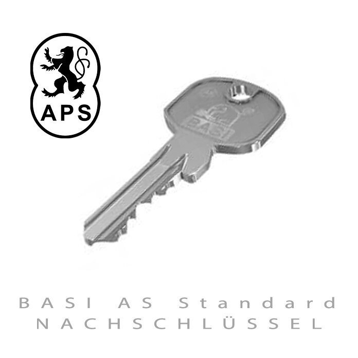 BASI ES 987 Riegelschloss für Rohrrahmentüren günstig kaufen - Schlüssel  Discount Shop