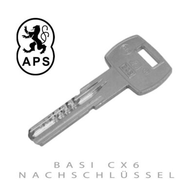 BASI CX6 Nachschlüssel nach Code