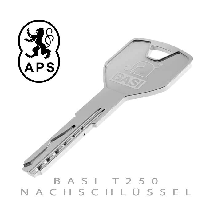 BASI T250 Nachschlüssel nach Code