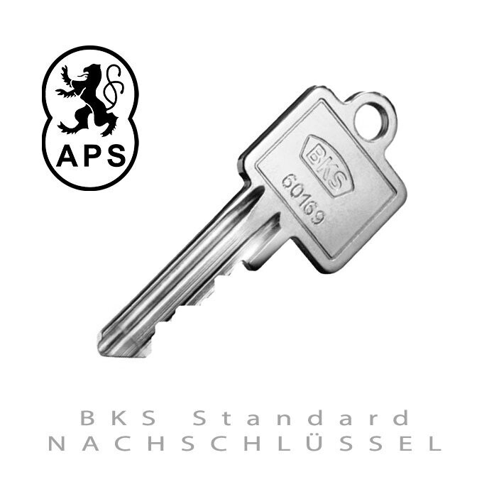 BKS Standard Schlüssel nach Foto