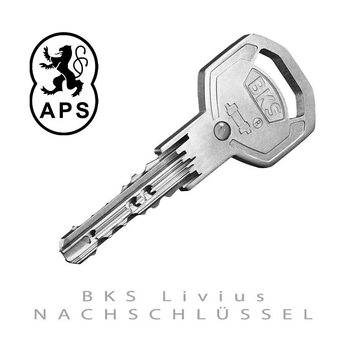 BKS Livius duplicate key