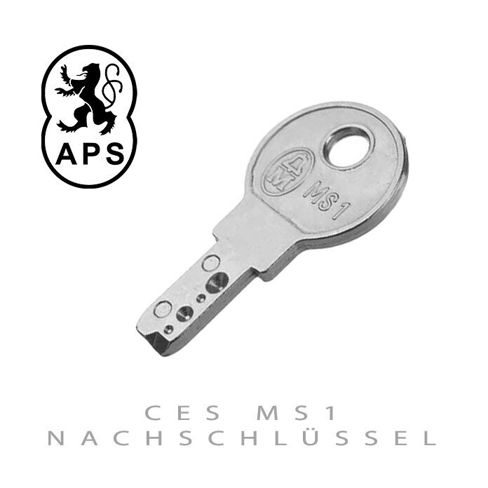 CES MS1 Schlüssel für Schalter