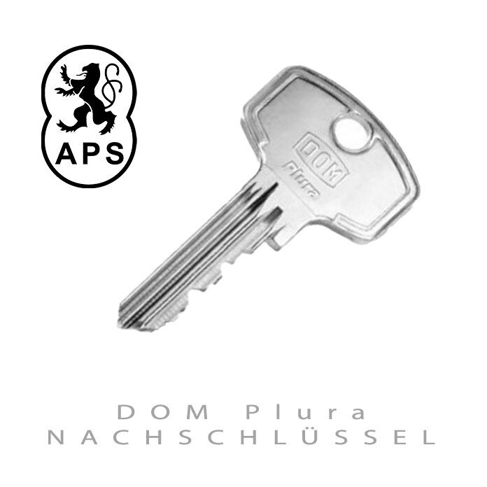 DOM Plura Nachschlüssel nach Code