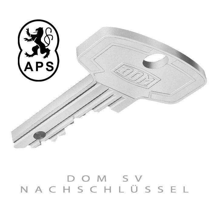 DOM SV Nachschlüssel nach Code