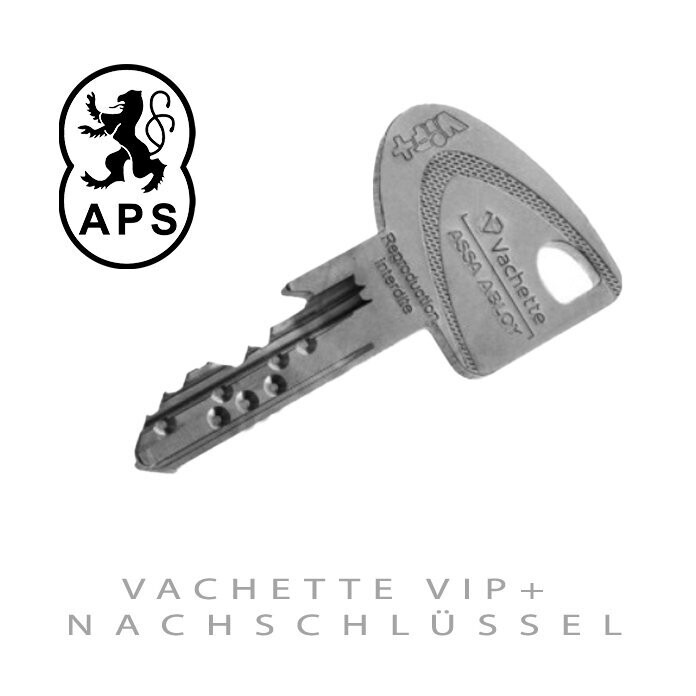 VACHETTE VIP+  duplicate keys