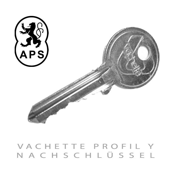 VACHETTE PROFIL Y Nachschlüssel