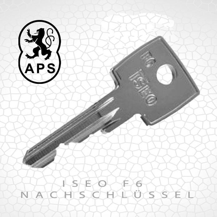 ISEO F6 Standard Nachschlüssel nach Foto