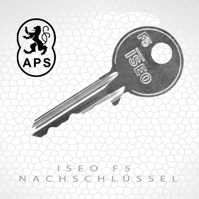 ISEO F5 Standard Nachschlüssel nach Foto ISEO F5 Standard Nachschlüssel nach Foto