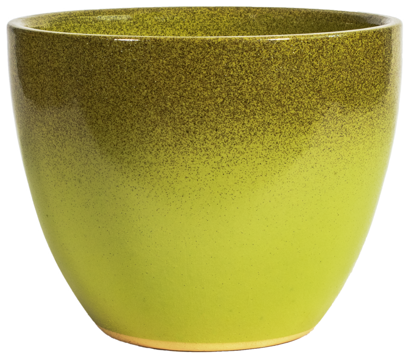 7&quot; Athens Pot - Fool&#39;s Gold Lime