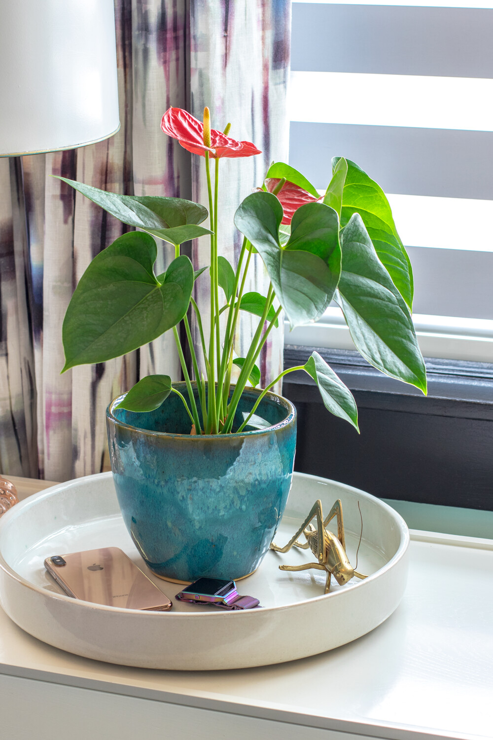 Large Shallow Planter/ Dish