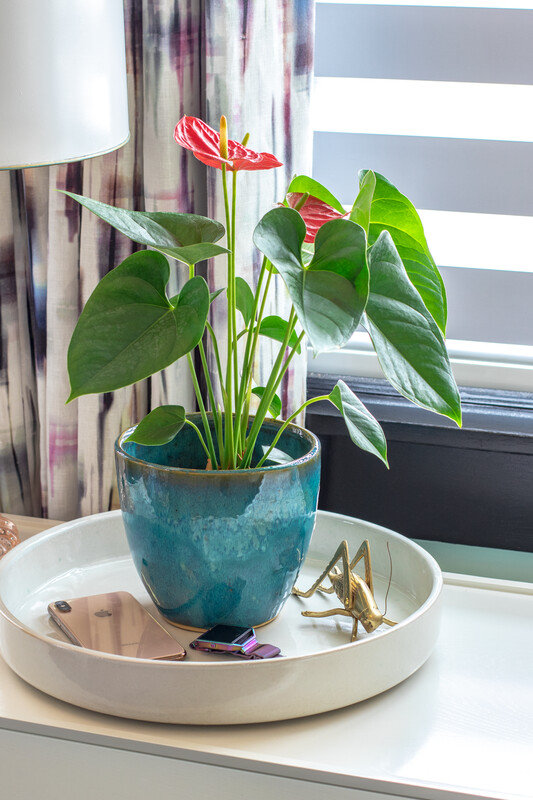 Large Shallow Planter/ Dish