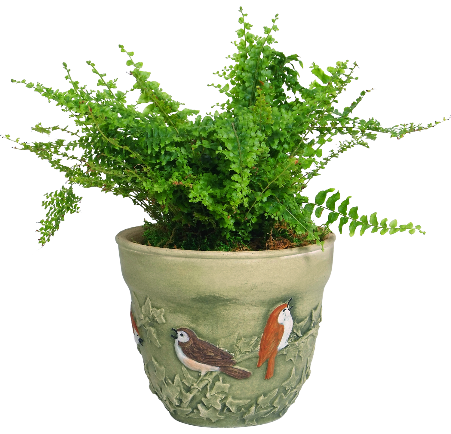 8&quot; Garden Songbird Hand painted Planter