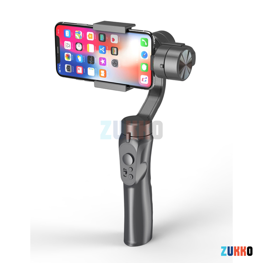 Estabilizador de video Profesional