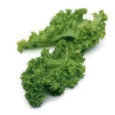 Kale Organic 24ct