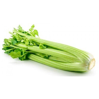 Celery Organic 24ct