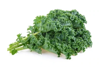 Kale Organic 24ct