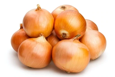 Onion Yellow 40lb Organic