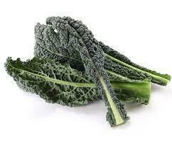 Kale Dino Organic 24ct