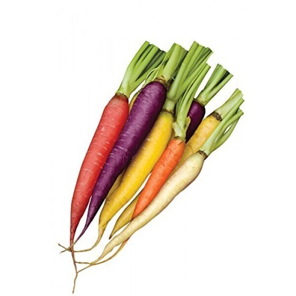 Carrot Rainbow 25lb