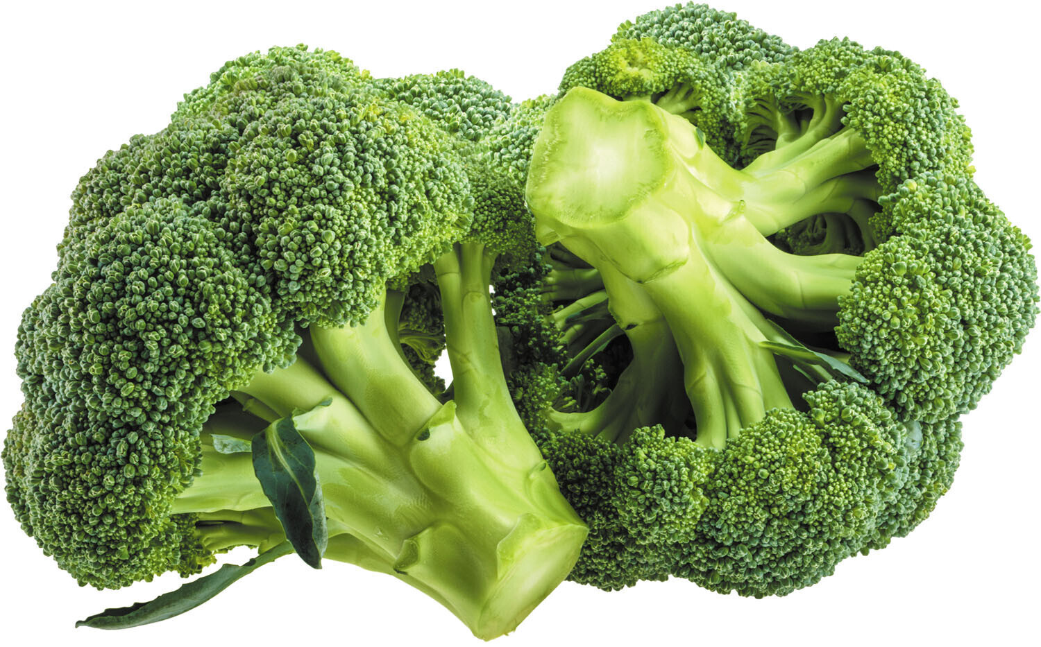 Broccoli Crowns Organic