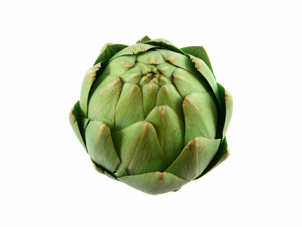 Artichoke Fresh 24ct avg