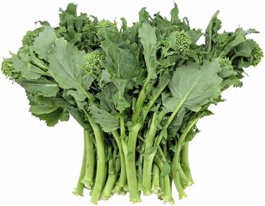 Rapini Broccoli Rabe Special Order